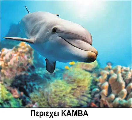 Κατασκευή Ψηφιδωτού kit Δελφινι 40cm X 50cm με Κορνίζα