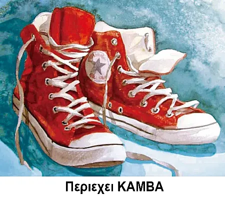 Κατασκευή Ψηφιδωτού kit Παπούτσια Sneakers 40cm X 50cm με Κορνίζα