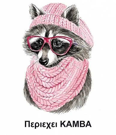 Ζωγραφιστέ με Αριθμούς kit Raccoon με Γυαλιά 30cm X 40cm