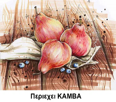 Κατασκευή Ψηφιδωτού kit Ρόδι 40cm X 50cm με Κορνίζα