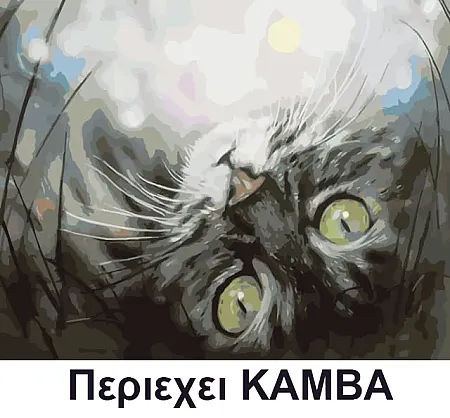 Ζωγραφιστέ με Αριθμούς kit  Γατούλα που ονειρεύεται   30cm X 40cm