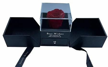 images/uploads/16382804/thumb_forever_rose_polyteles_red_main.webp