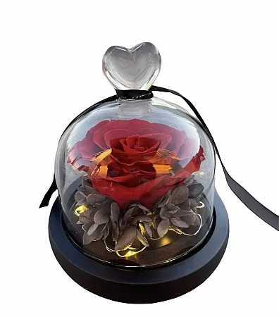 Forever Rose Κόκκινο Τριαντάφυλλο σε Γυάλα με Led 13cm X 12cm