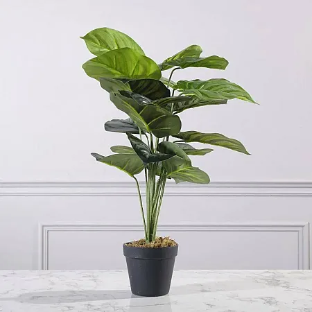 ΤΕΧΝΗΤΟ ΦΥΤΟ ΚΑΛΑΘΕΑ ORNATA 60 ΕΚ.