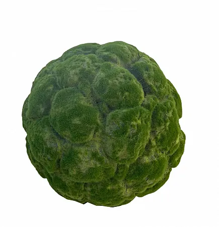 Θάμνος πυξάρι 40cm Μπάλα Διακοσμητική Moss