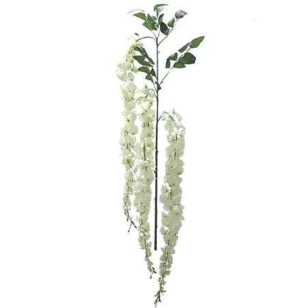 ΚΛΑΔΙ ΛΕΥΚΟ ΑΚΑΚΙΑ Y91-150cm