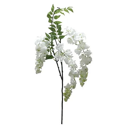 ΚΛΑΔΙ ΑΚΑΚΙΑ ΣΑΜΠΑΝΙ Y75-98cm