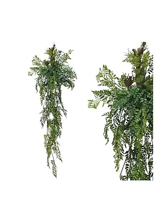 Κρεμαστή Ρίζα με Φτέρη με Κορμό με Βρύα 165cm