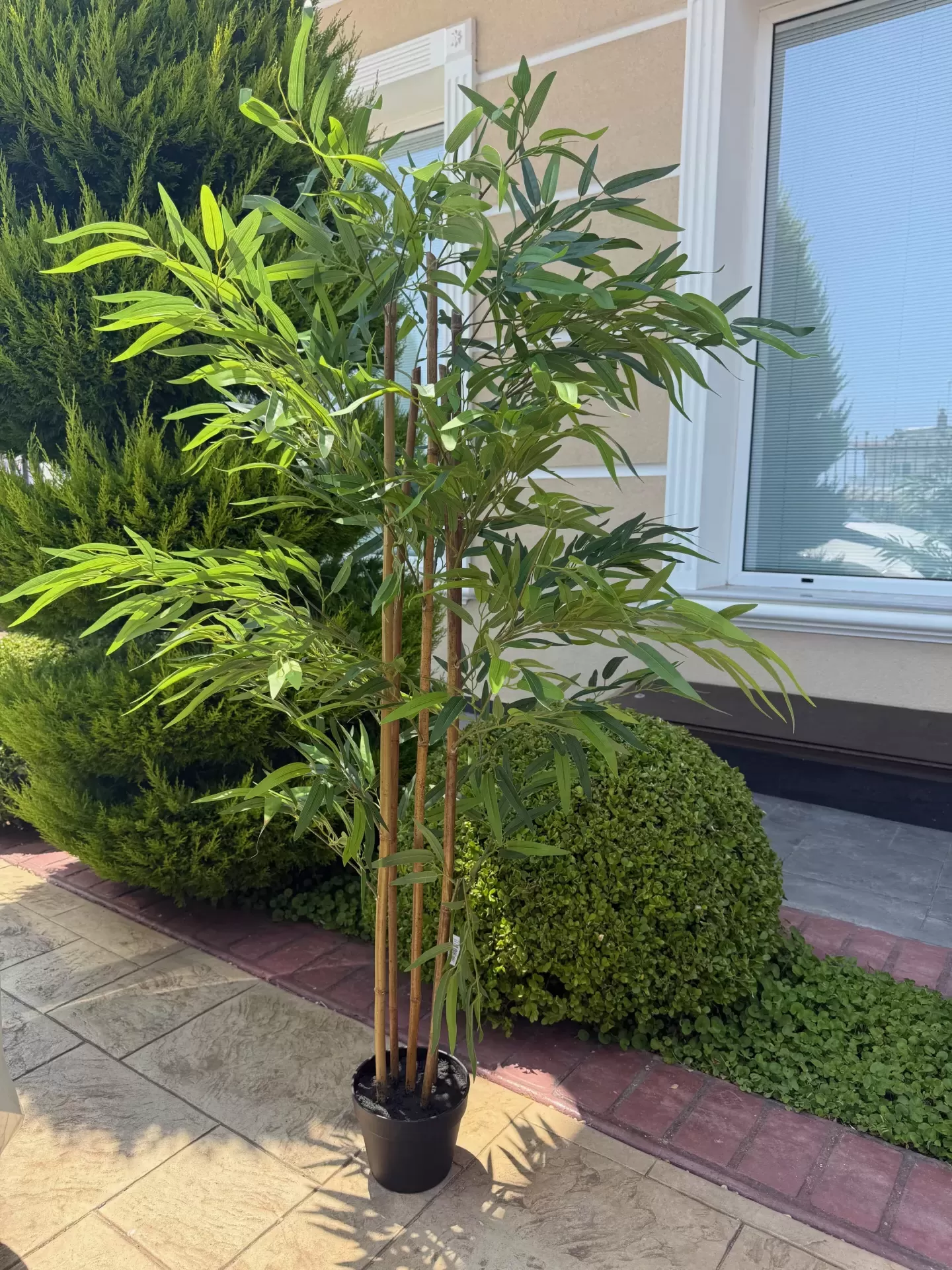 Τεχνητό Δέντρο Μπαμπού Real Touch 155 εκ. σε γλάστρα