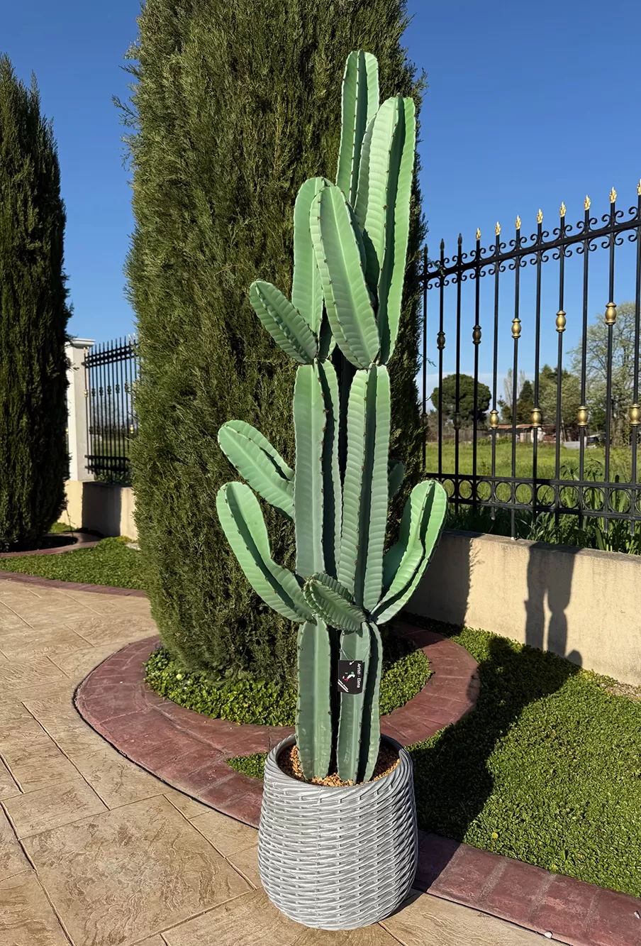 Τεχνητός κάκτος φραγκοσυκιάς 191cm σε μοντέρνα γλάστρα EVA