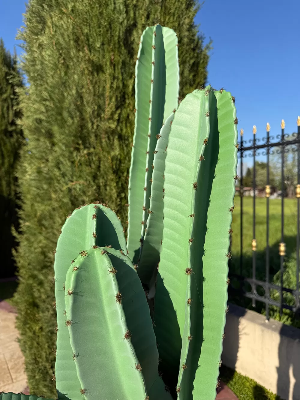 Τεχνητός κάκτος φραγκοσυκιάς 191cm σε μοντέρνα γλάστρα EVA
