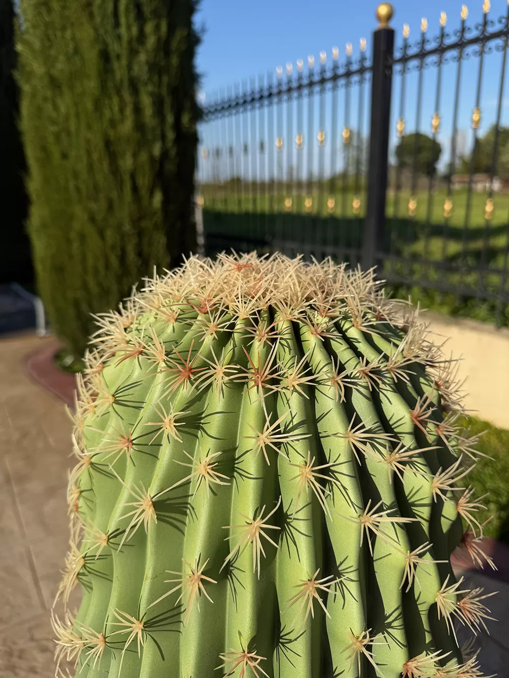 Τεχνητός κάκτος φραγκοσυκιάς 120cm σε μοντέρνα γλάστρα EVA