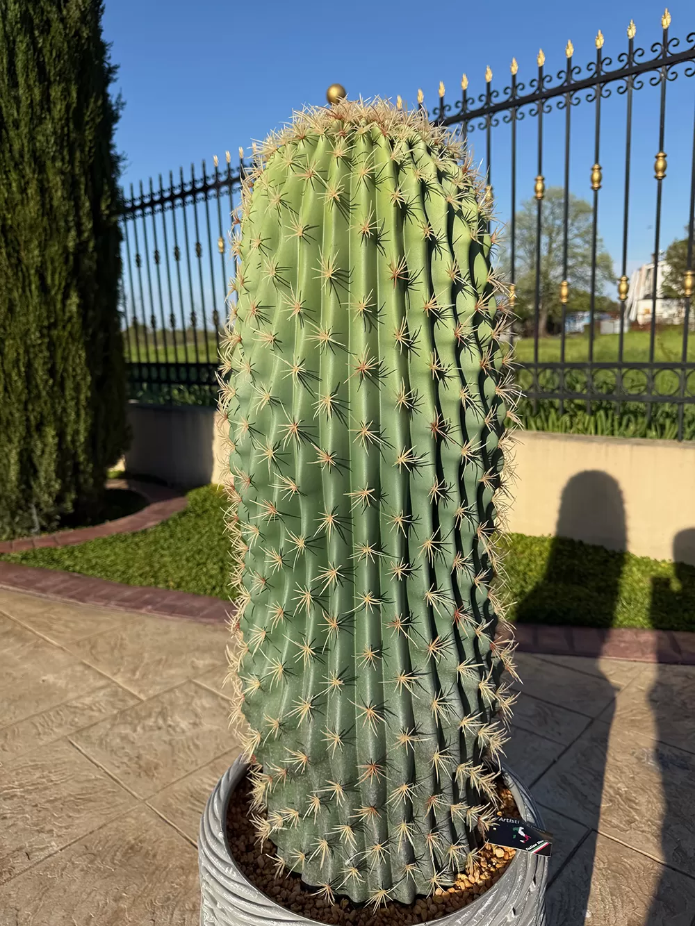 Τεχνητός κάκτος φραγκοσυκιάς 120cm σε μοντέρνα γλάστρα EVA