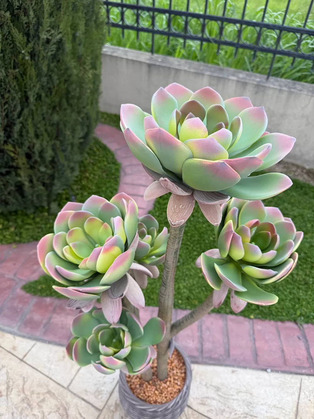 Τεχνητός κάκτος 109cm σε μοντέρνα γλάστρα EVA