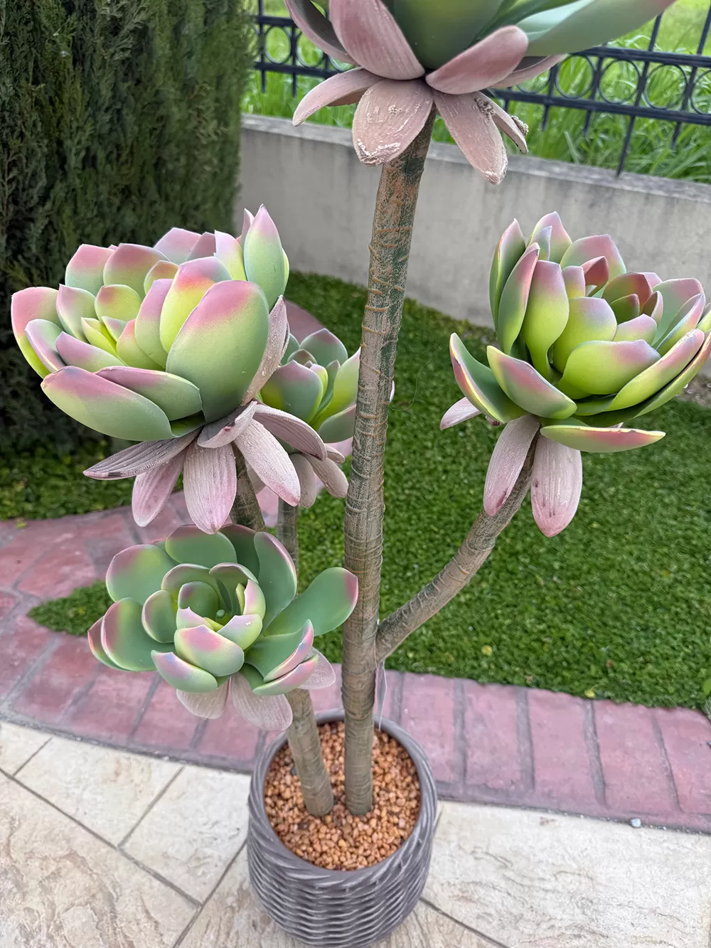 Τεχνητός κάκτος 109cm σε μοντέρνα γλάστρα EVA