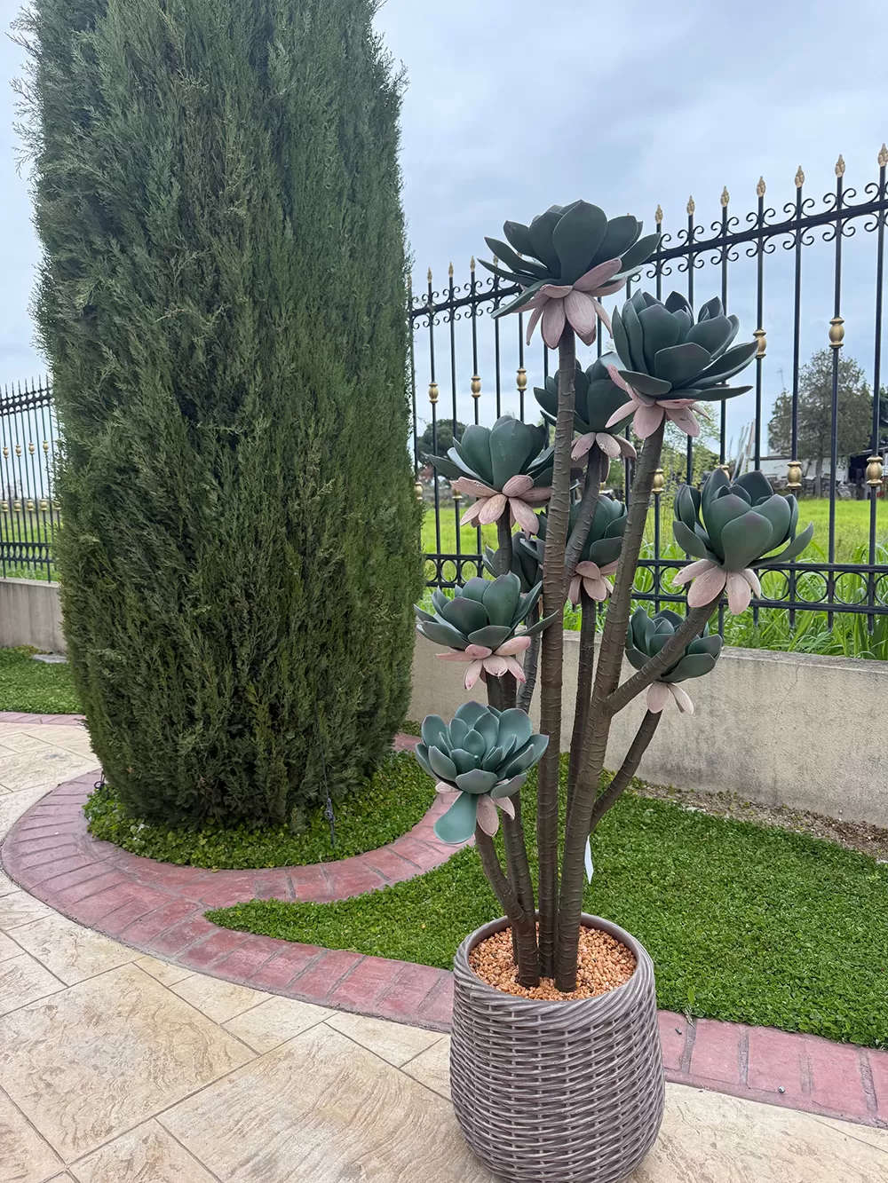 Τεχνητός κάκτος 150cm σε μοντέρνα γλάστρα EVA