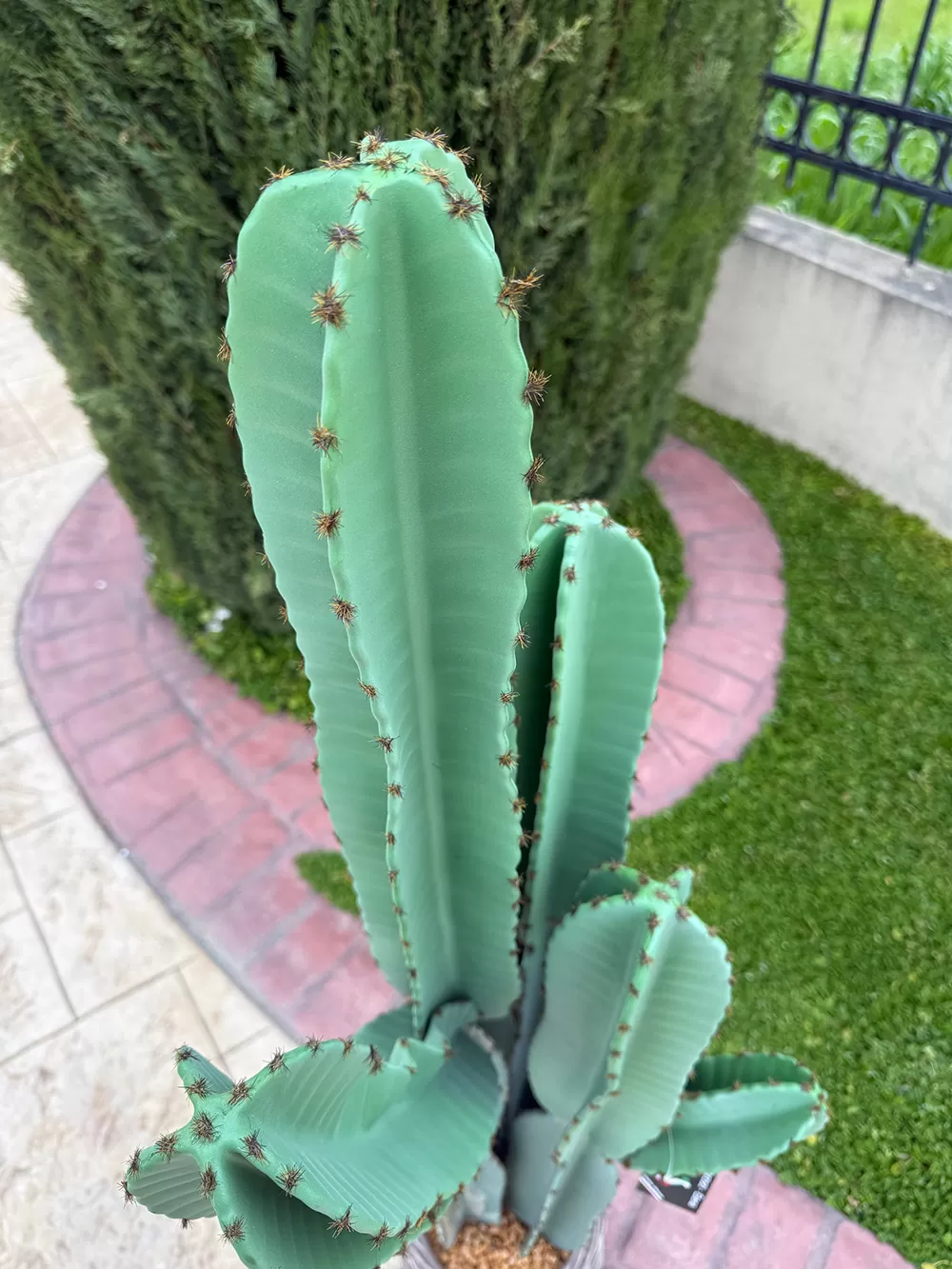 Τεχνητός κάκτος 132cm σε μοντέρνα γλάστρα EVA