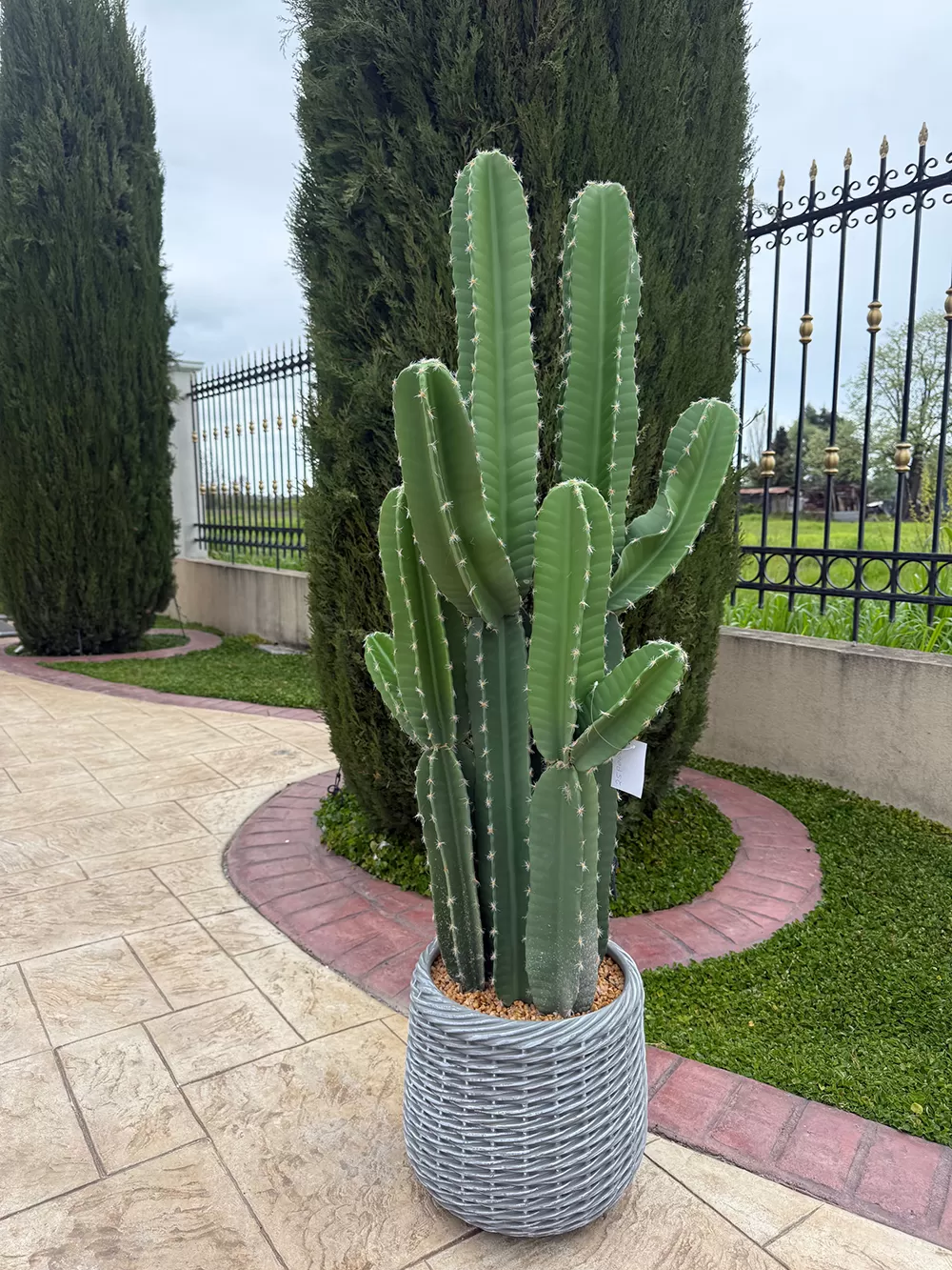 Τεχνητός κάκτος 144cm σε μοντέρνα γλάστρα EVA