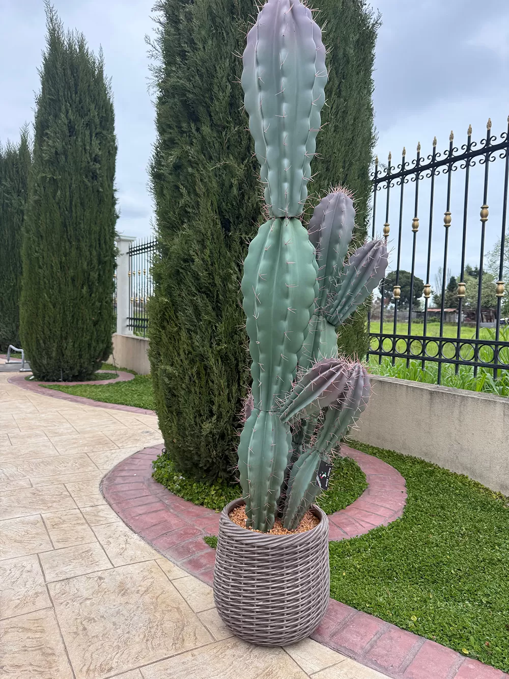 Τεχνητός κάκτος 180cm σε μοντέρνα γλάστρα EVA