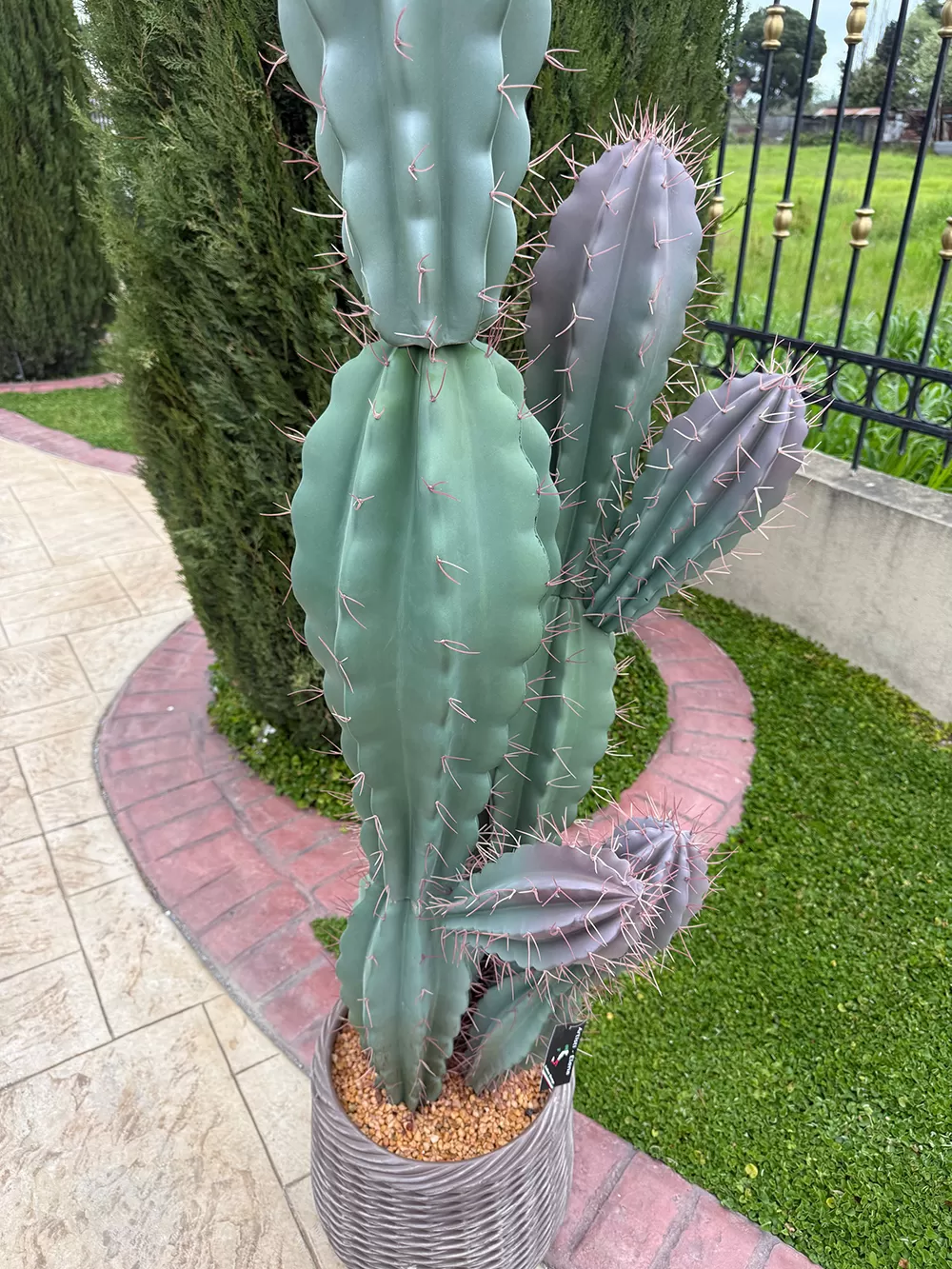 Τεχνητός κάκτος 180cm σε μοντέρνα γλάστρα EVA