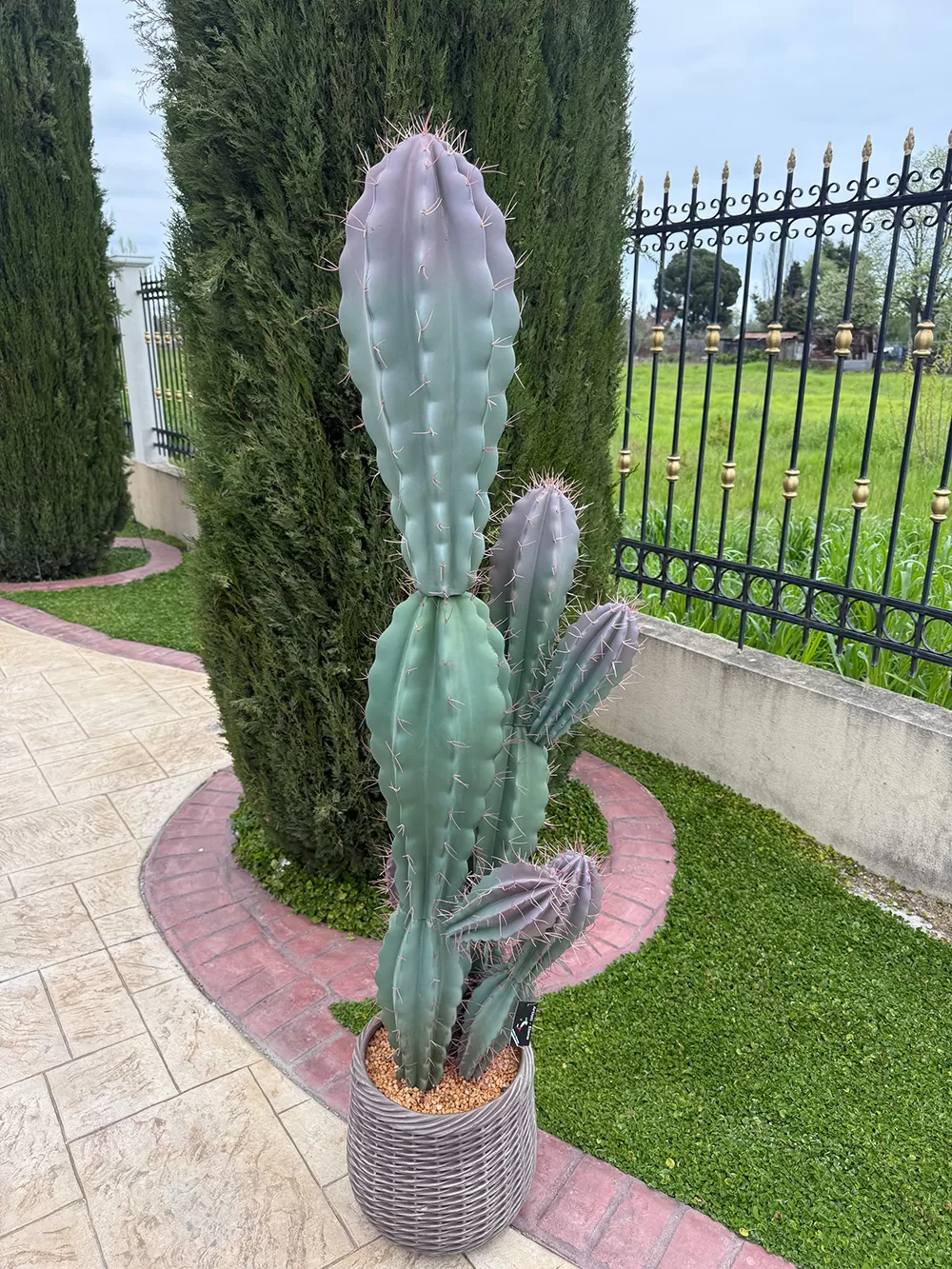 Τεχνητός κάκτος 180cm σε μοντέρνα γλάστρα EVA