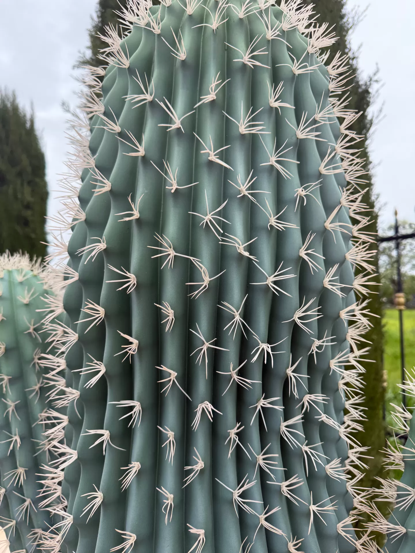 Τεχνητός κάκτος 195cm σε μοντέρνα γλάστρα EVA