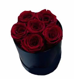 Forever Rose  Κόκκινα Τριαντάφυλλα 6τεμ Μπουκέτο σε Κυλινδρικό κουτί 14cmX17cm