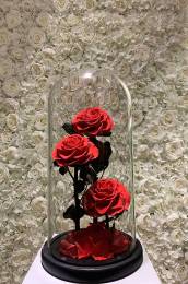 Παντοτινα 3 τριαντάφυλλα   Αποχυμωμένο Αγάπης σε Γυάλα - Κόκκινο 32cm