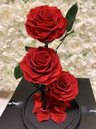 Παντοτινα 3 τριαντάφυλλα   Αποχυμωμένο Αγάπης σε Γυάλα - Κόκκινο 32cm