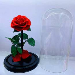 Παντοτινό τριαντάφυλλο   Αποχυμωμένο Αγάπης σε Γυάλα - Κόκκινο 19cm