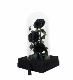 Παντοτινα 3 τριαντάφυλλα   Αποχυμωμένο Αγάπης σε Γυάλα - Μαύρα 32cm